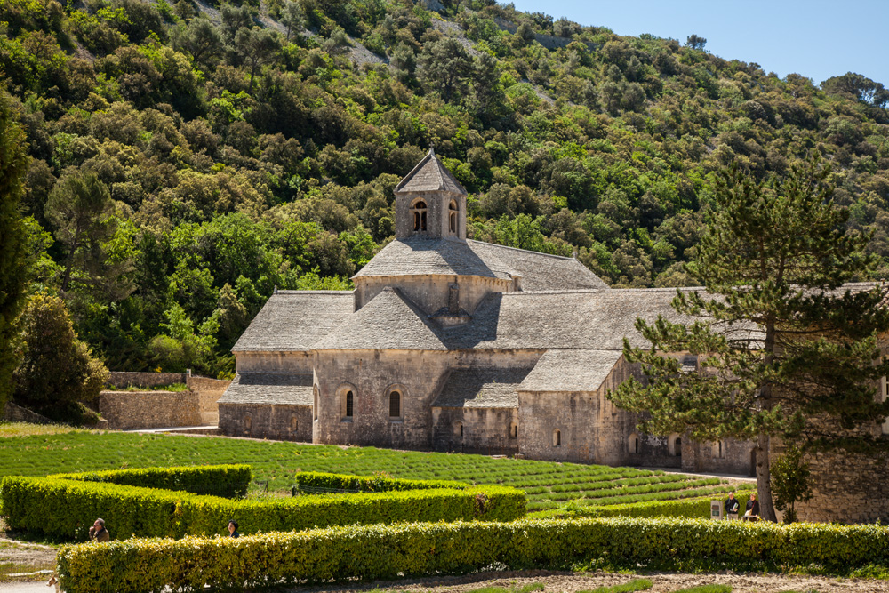 Abbaye-de-Sénanque-(76-sur-77)